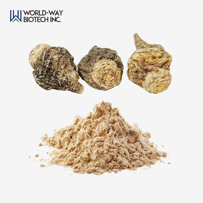 Maca Root Extract Powder Maca Root Extract Powder